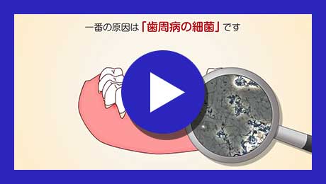 歯ぐきが下がる